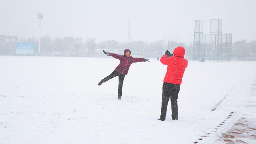 傲霜斗雪